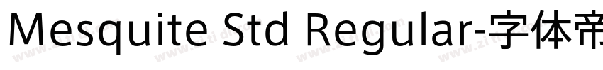 Mesquite Std Regular字体转换